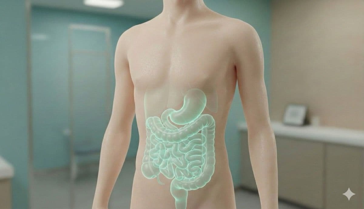 Bağırsak–Cilt Ekseni Nedir? Psoriasis ve Egzamada Basit Bir Anlatım